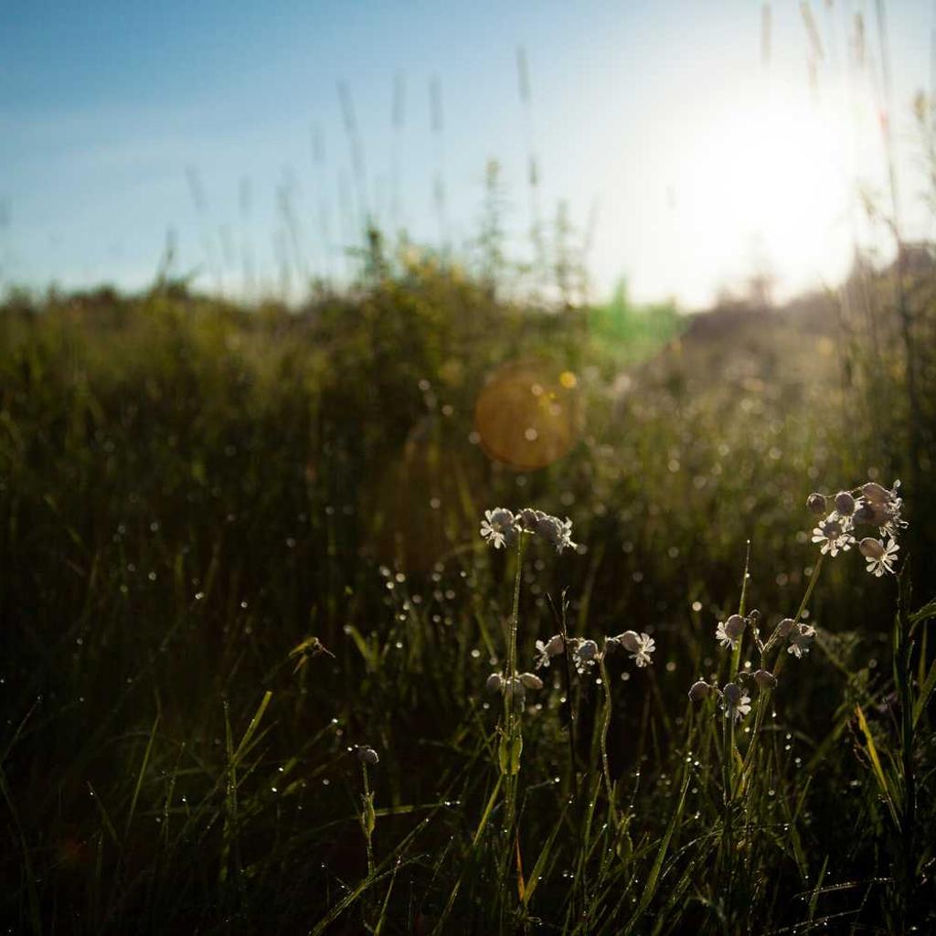 Dolor fugit officia reprehenderit officia et a